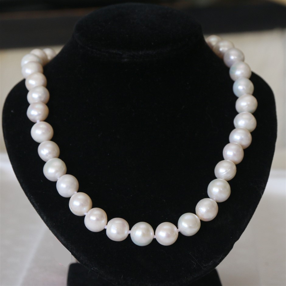 Keruing Laminated Beam GL19 290x65 at 6.0m