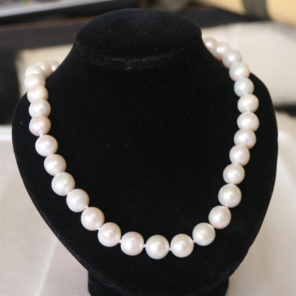 Keruing Laminated Beam GL19 290x65  at 6.6m