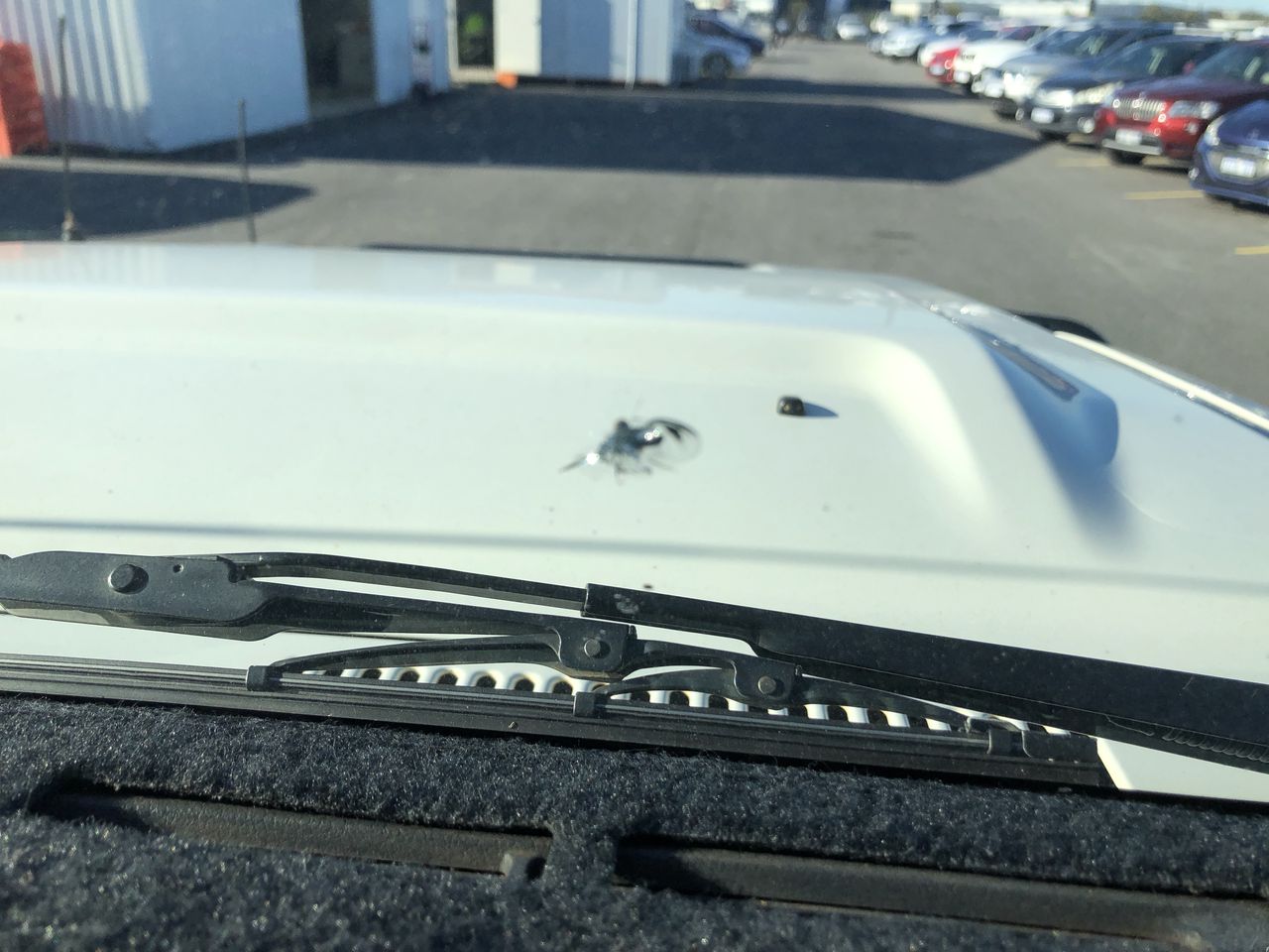 6x Belvoir Farm Sicilian Lemon Cordial 500ml