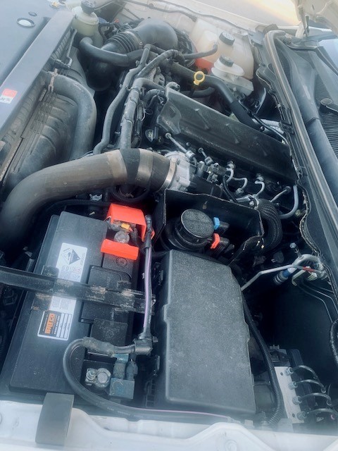 Australia 2021 The Wiggles (Current) 30 Years Scalloped Coloured 30c Coin