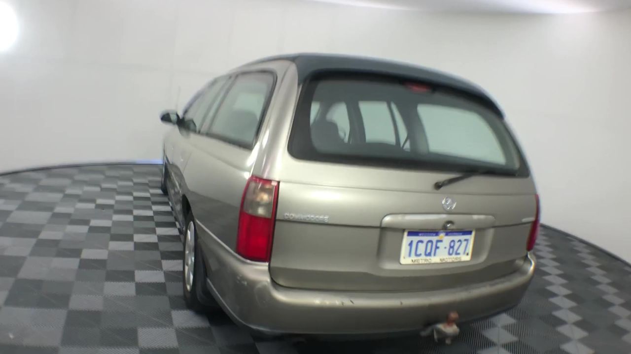 Premium Wood Fired Pizza Oven - Black and White & Black Brick