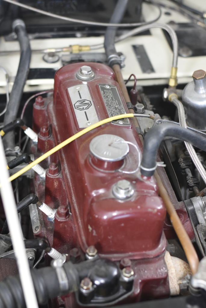 Stalking Horse Reserve Cabernet Sauvignon 2021 (12x 750mL) McLaren Vale