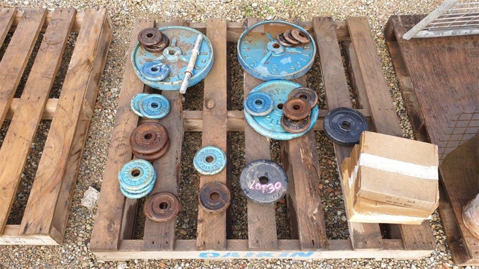 Next Crop Greco 2022 (12x 750mL) Langhorne Creek