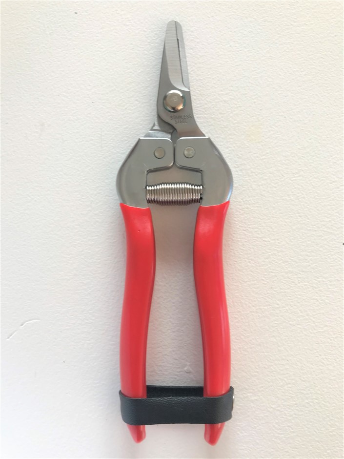 Pioneer Road RE Rose 2024 (12x 750mL) SA