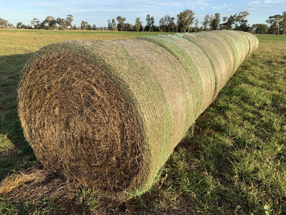 Round Bale of Lucerne Hay Auction (00895040972) Grays Australia