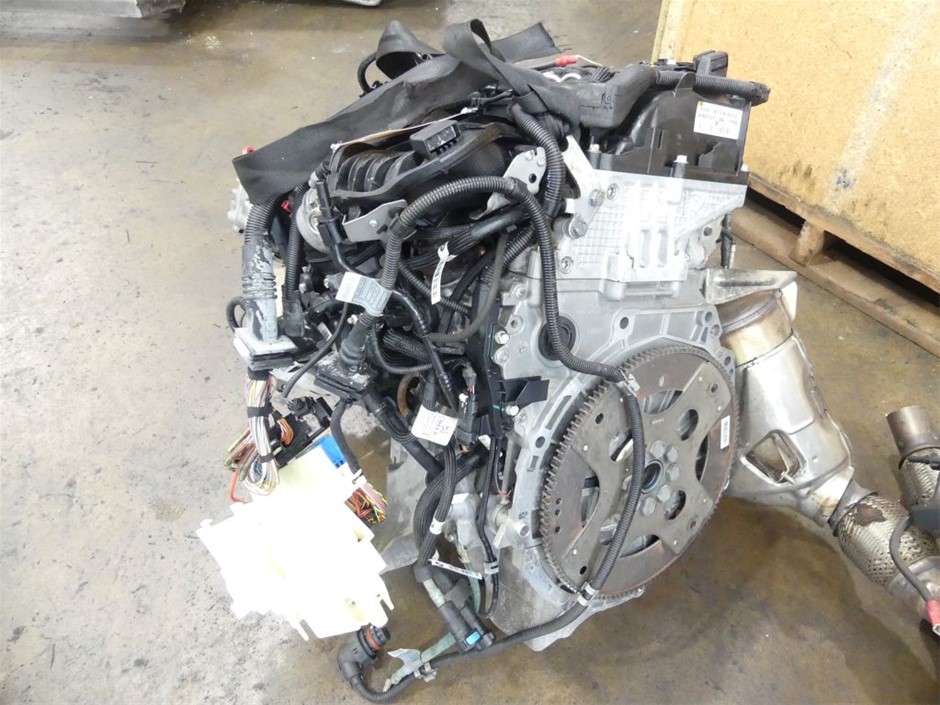 PECKISH Wild Bird 20kg - for Wild Birds and Large Parrots, Premium Seed Ble