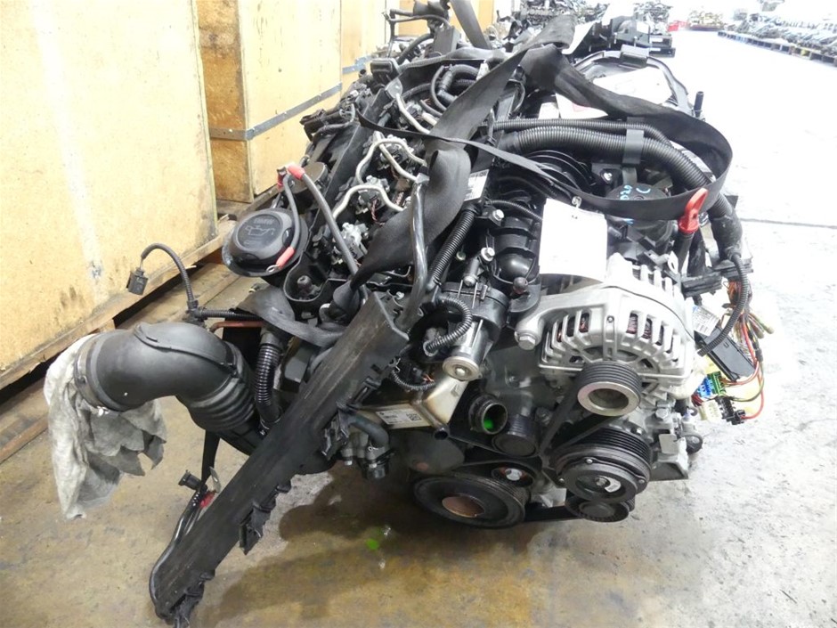 STOCKMAN & PADDOCK Adult Dry Dog Food, Beef for High Performance Working Do