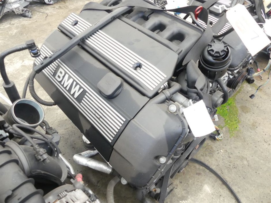 PETSAFE ScoopFree Clumping Automatic Self Cleaning Cat Litter Box Hood and