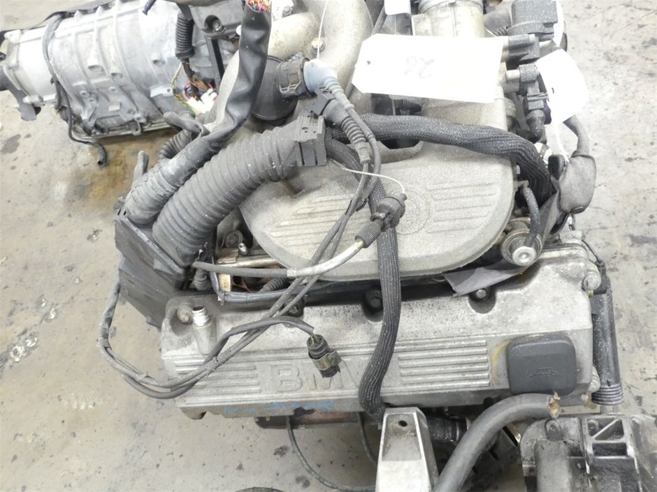 FRENCH BULL 74191 Kids Plate Set of 4 - BPA-Free, Tray, Animals, Toddler, D