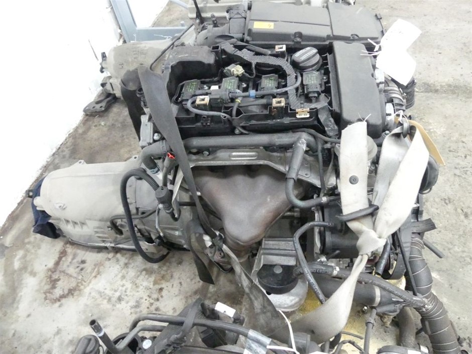 Tolsen Professional One Piece Forged Claw Hammer (Industrial)