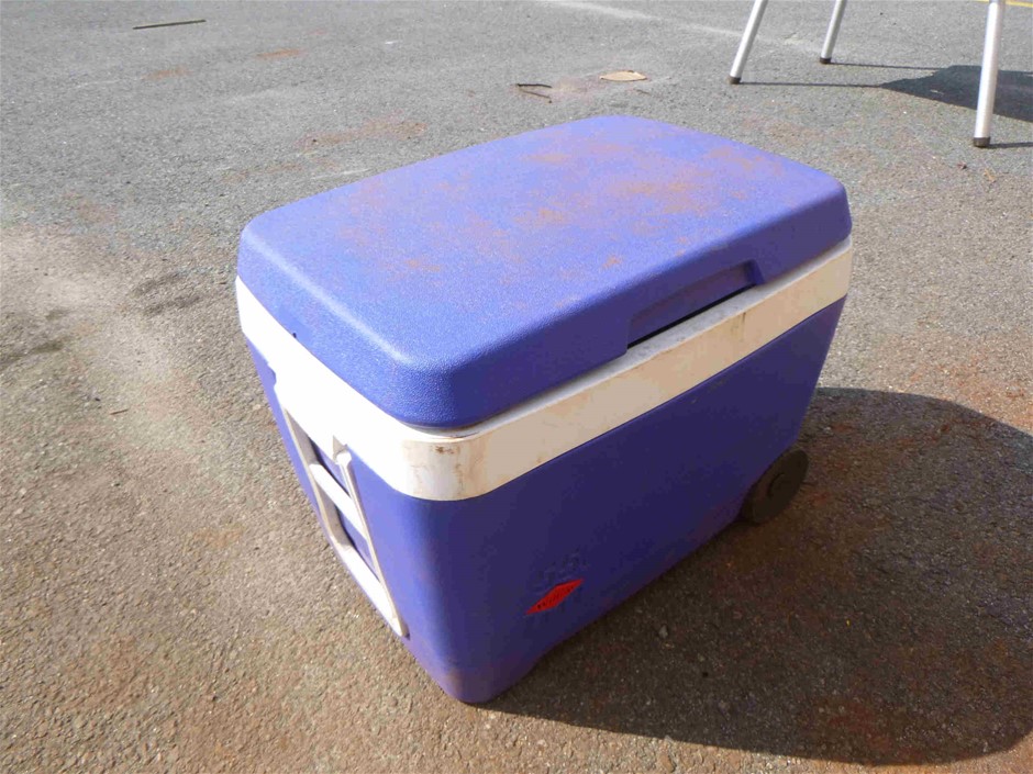 18ct Heavy Yellow Gold Plated Fine Maritime Chain Anklet - 11 inches