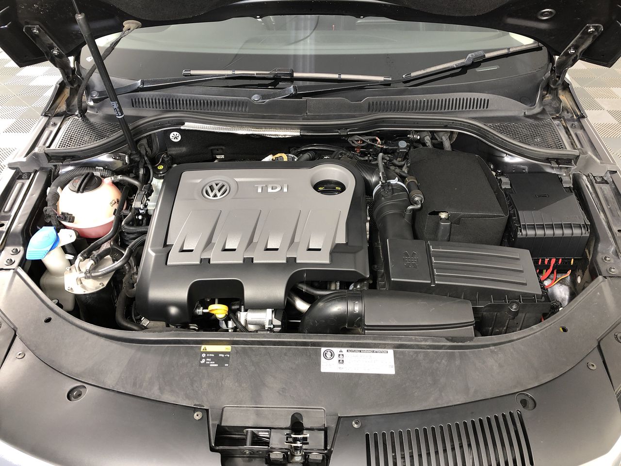 NEW!! LIMITED 2024 BLUEY DOLLARBUCK & BINGO $1 DOLLAR UNC Coin 2 CARD SET