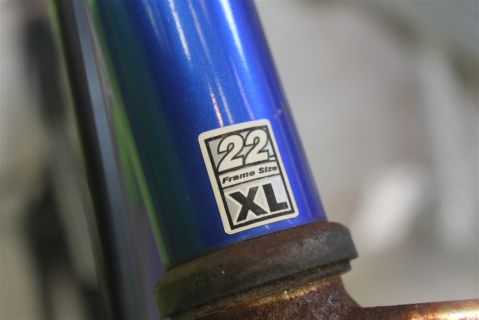 Two Brand New Stainless Steel Kidney Dishes