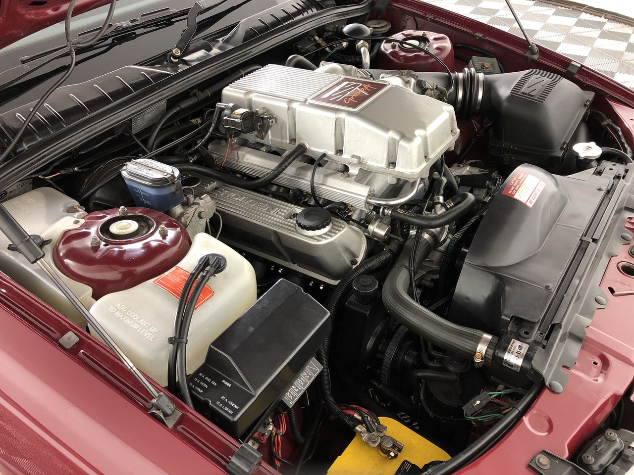 Stoutland V 117/163 – Battle Styles – Raw Pack Fresh