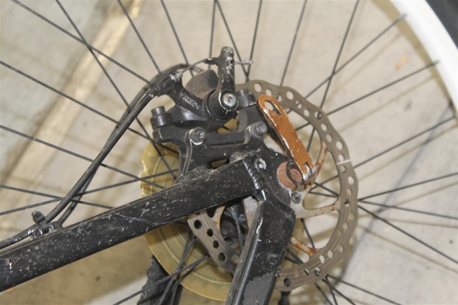 Magic Box Shiraz 2019 (6x 750mL) SEA