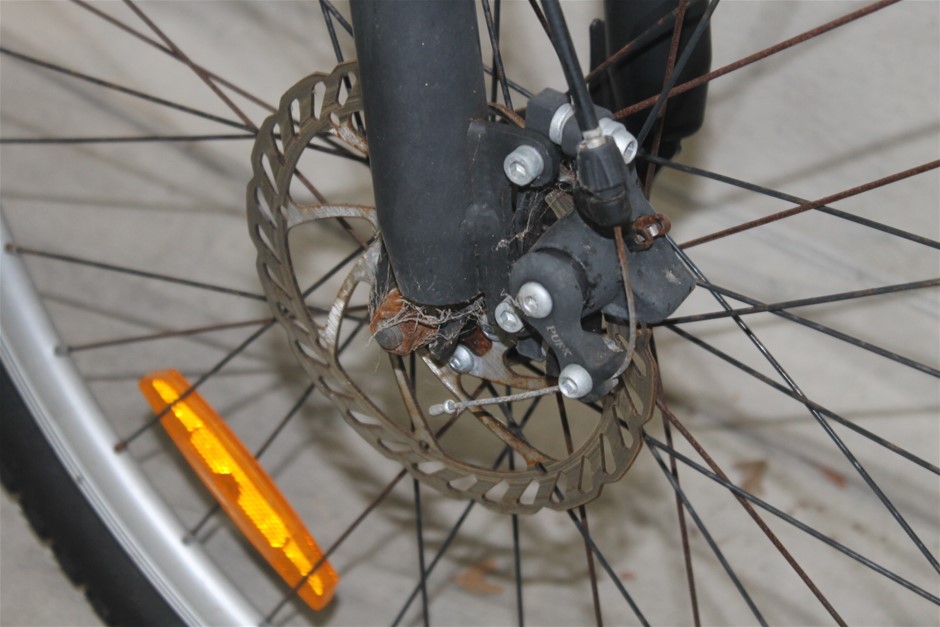 Lost Sheep Pinot Grigio 2025 (12x 750mL) SEA