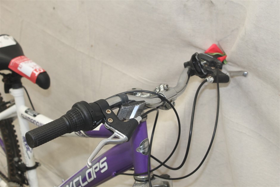 Peter Jorgensen Premier Reserve Pedler Creek Shiraz 2021 (12x 750mL) SA