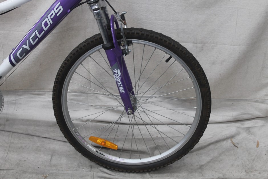 Peter Jorgensen Vat 311 Limited Release Shiraz 2020 (12x 750mL) SA