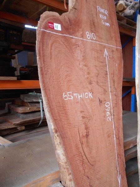 Pioneers First Patch Pinot Noir 2024 (12x 750mL) SA