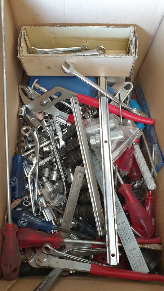 Lost Sheep Sauvignon Blanc 2025 (12x 750mL) SEA