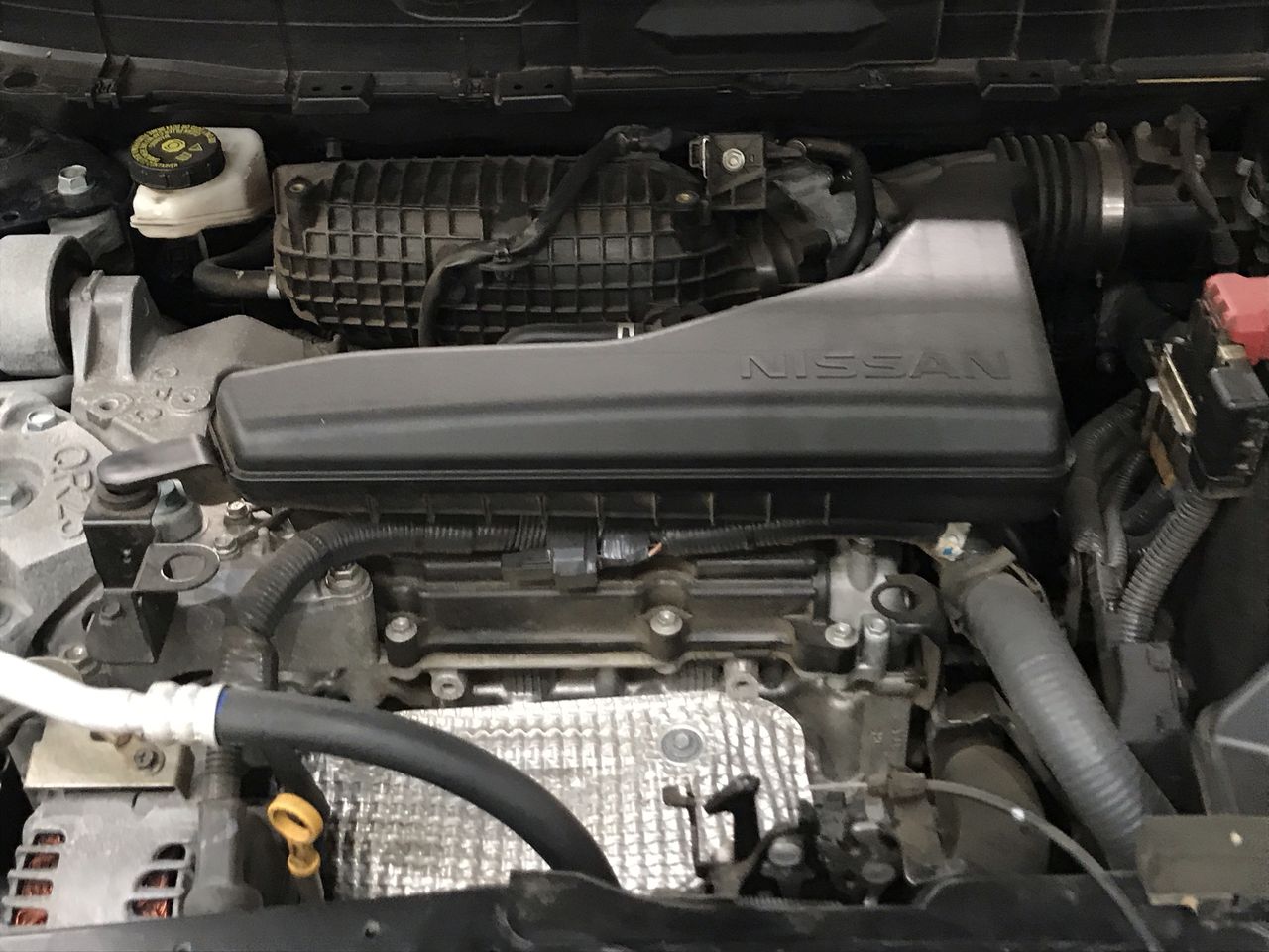 5-6mm White & Baroque Pearl Pendant Charm Bracelet