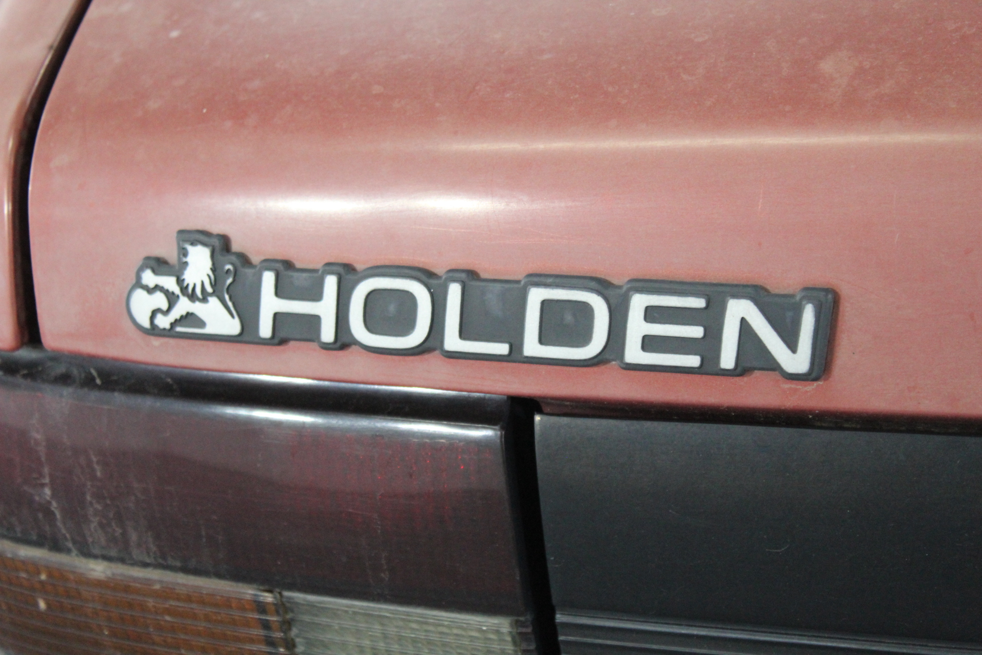 GRA Moissanite White 18k Solid Yellow Gold Vermeil Ring -9US