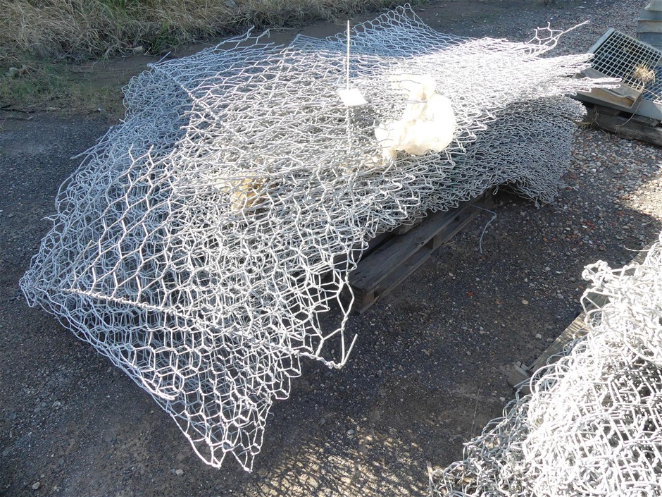 NEW!! LIMITED 2024 BLUEY DOLLARBUCK & BINGO $1 DOLLAR UNC Coin 2 CARD SET