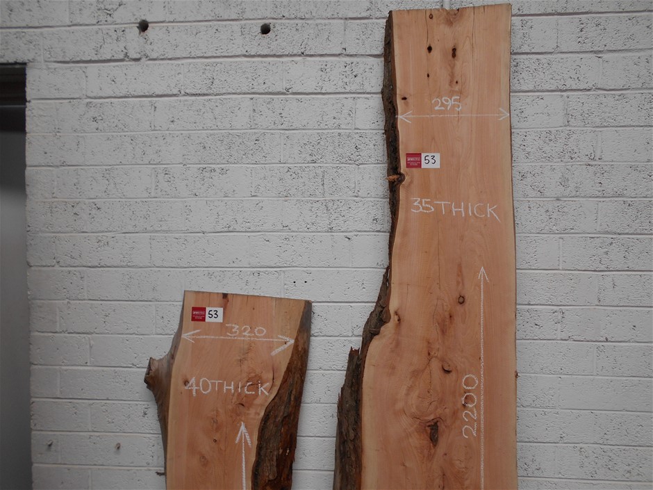 Thomson Estate Toolunka Cabernet Sauvignon 2023 (12x 750mL) SA