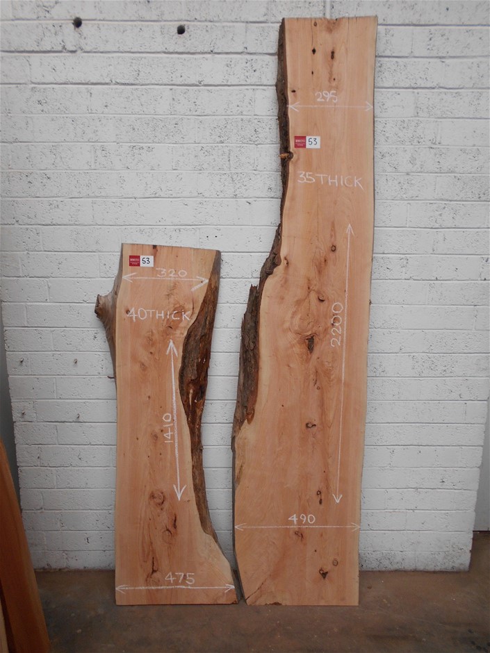 Virtue Merlot 2019 (12x 750mL), Coonawarra