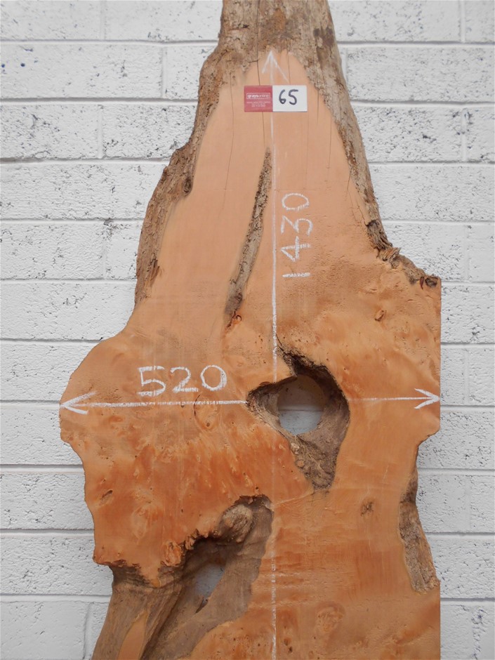 Shared Tempranillo 2021 (6x 750mL) SA