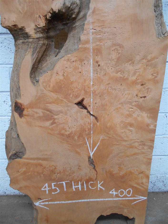 2 Monkeys Pinot Grigio 2025 (12x 750mL) SA