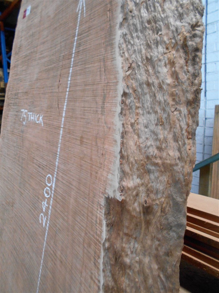 Little Giant Pinot Noir (6x 750mL). Current Vintage Release