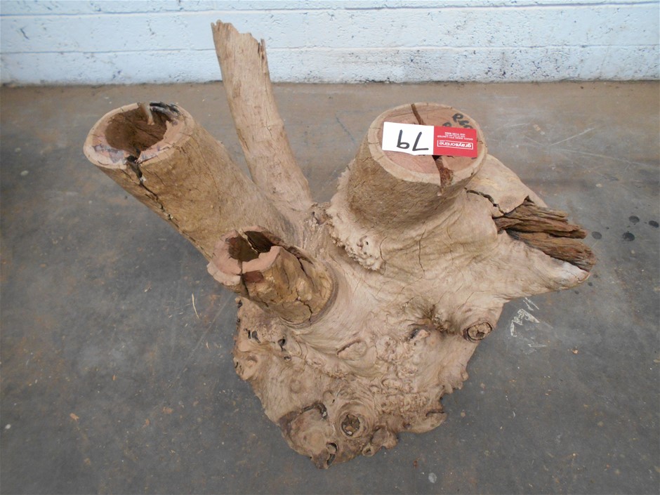 Winebasket Fiano 2023 (4x 2L) Adelaide Hills