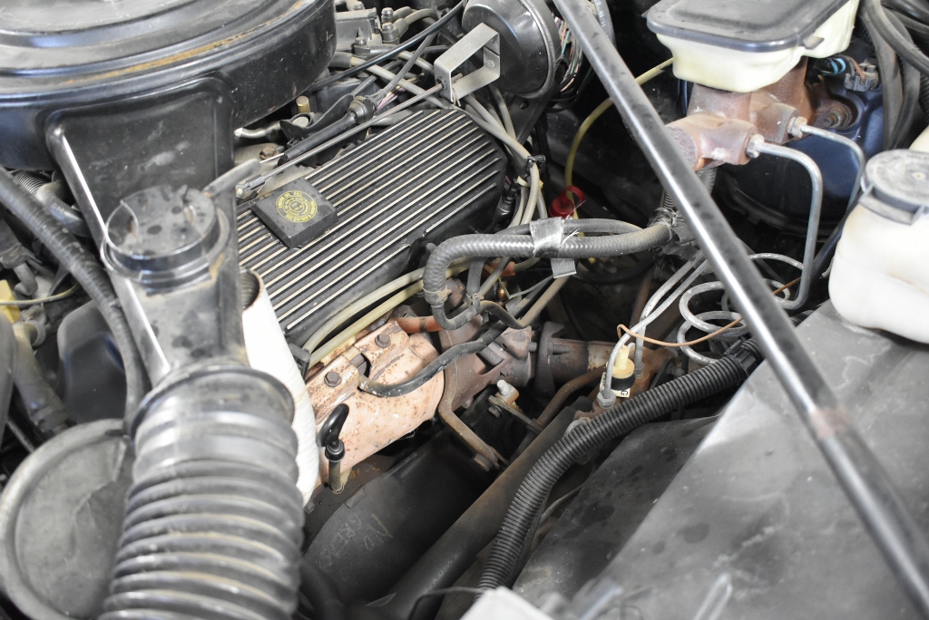 Kati Allo Petit Verdot 2024 (12x 750mL) SA