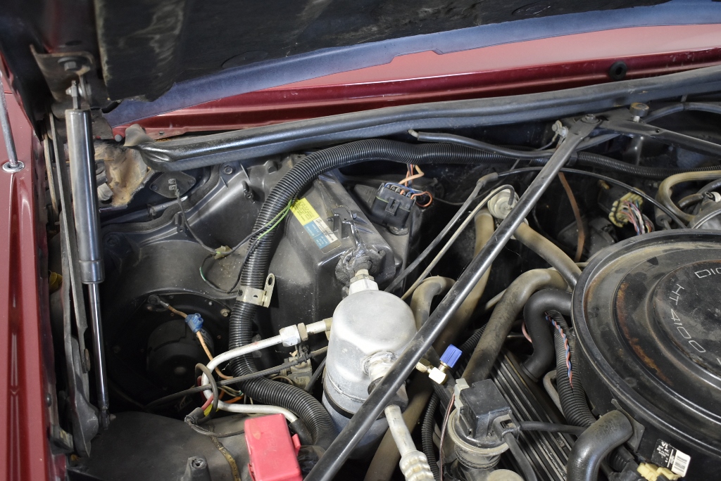 Magic Box Shiraz 2019 (6x 750mL) SEA