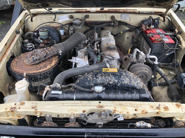 Stalking Horse Riesling 2024 (12x 750mL) Clare Valley, SA