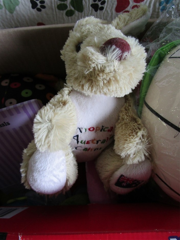 15x Assorted Ladies Shoes Bundle. Includes flats, casual wear and dress sho