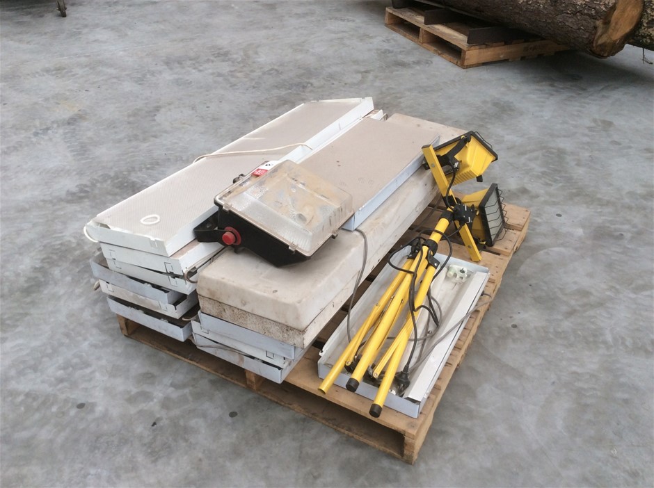 1966 Australia First & Last Queen Elizabeth Silver Round Fifty Cents