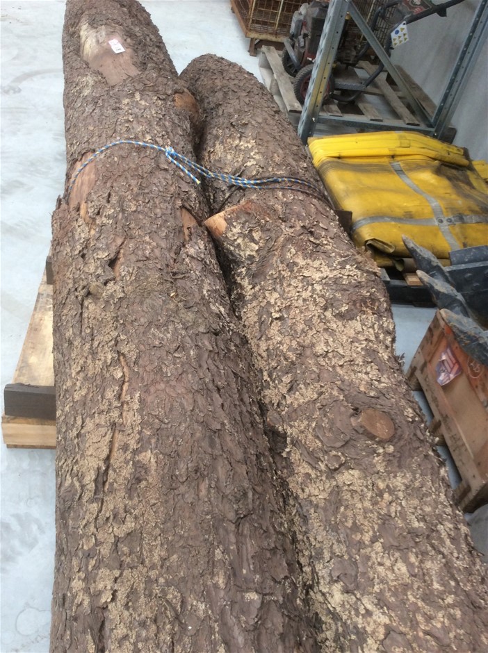 EW A9X Holden Torana Colour Silver Stunner Coin with COALTD 500