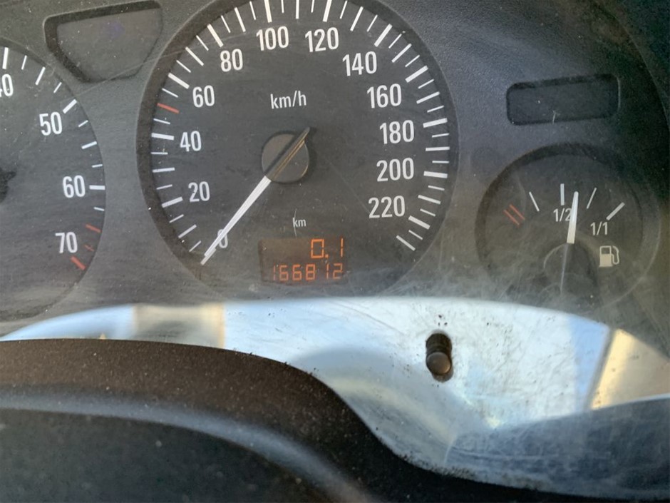 7-8mm White Pearls & Gold Plated Rhinestone Stretch Bracelet.