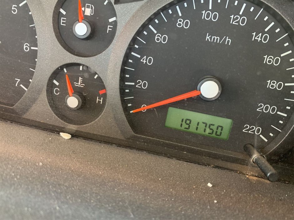 7-8mm White Pearls & Silver Plated Rhinestone Stretch Bracelet.