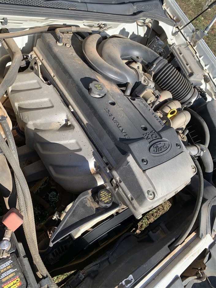 7-8mm Black Pearl with Rhinestones & CZ Gold Plated Bracelet