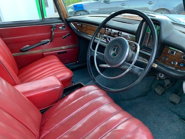 Sony Speaker, JBL Wave 200 Earbuds and Canon Camera