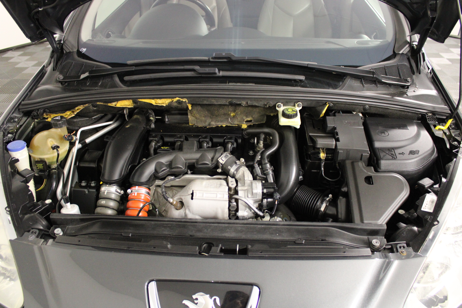 2014 Set of 8 x 5 g Certified "Aust Animal Series" Finished 999 24 k Gold