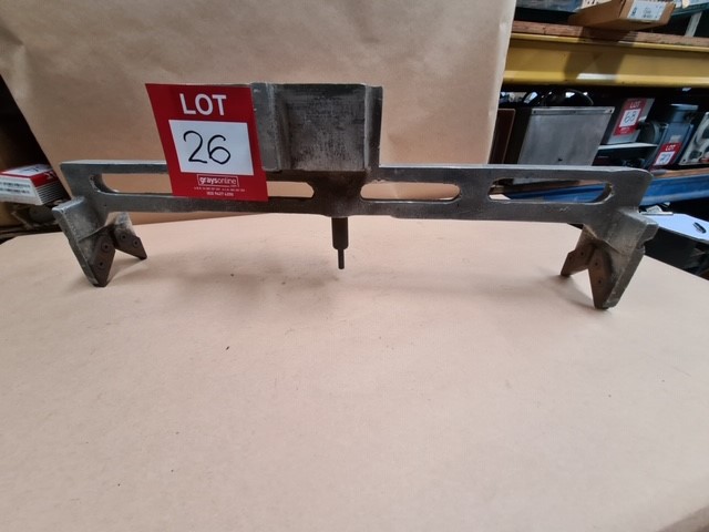 2022 Queen Elizabeth Platinum Jubilee Gold plated Medallion