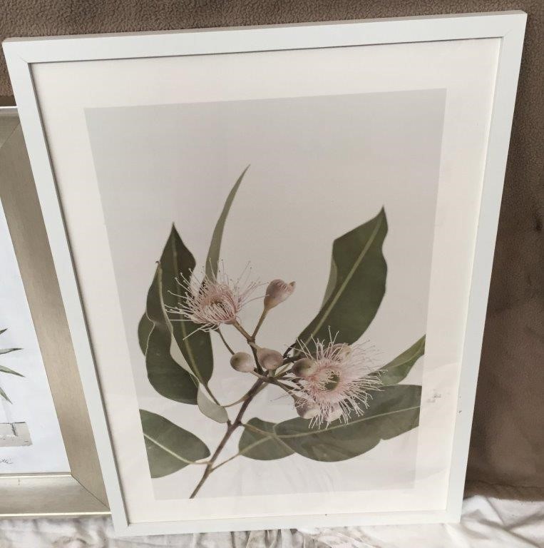 2018 Ford Motorsport Collection - 50 Cent Coin - BA Falcon 2006