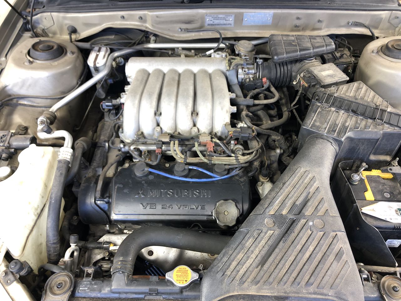 7-8mm Black Pearl with Rhinestones & CZ Rhodium Plated Bracelet