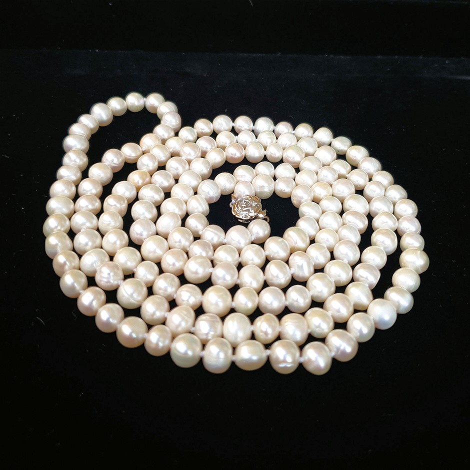 Devil's Lair Fifth Leg Rose (6x 750mL) .Current Vintage Release.