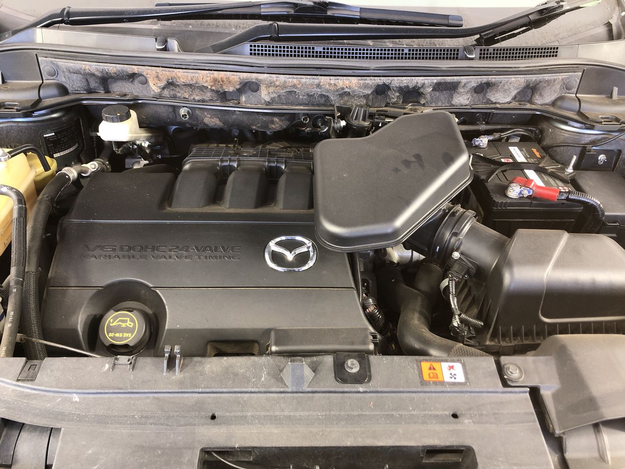 Stalking Horse Riesling 2024 (12x 750mL) Clare Valley, SA