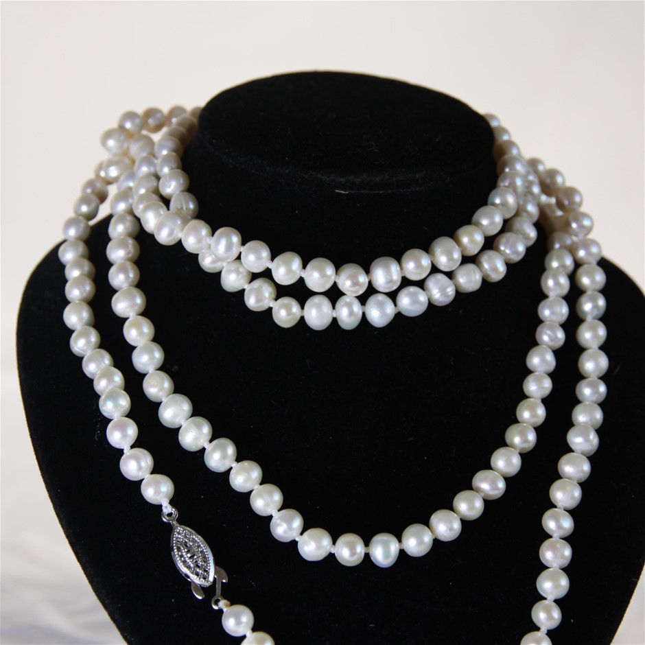 Take it to the Grave Pinot Noir (6x 750mL)